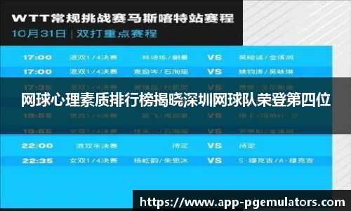 网球心理素质排行榜揭晓深圳网球队荣登第四位