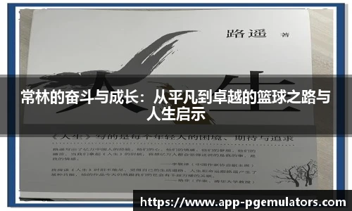 PG电子模拟器