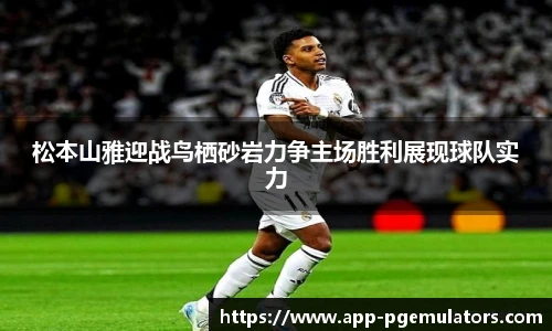 PG模拟器官网